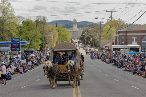 mule day 2024 columbia tn