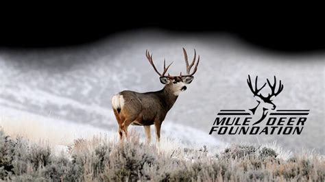 mule deer foundation banquet bozeman