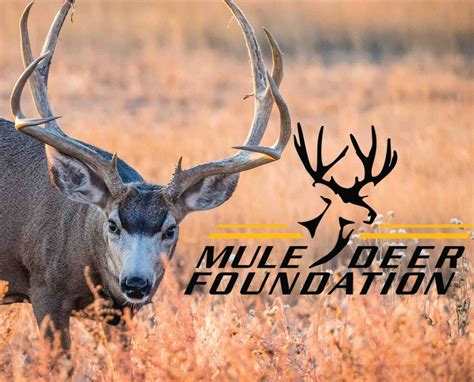 mule deer foundation idaho