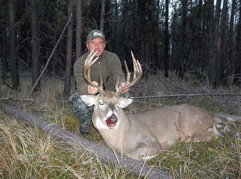 Mule Deer Hunting Tips Bc