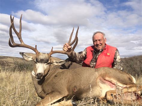 mule deer in wyoming