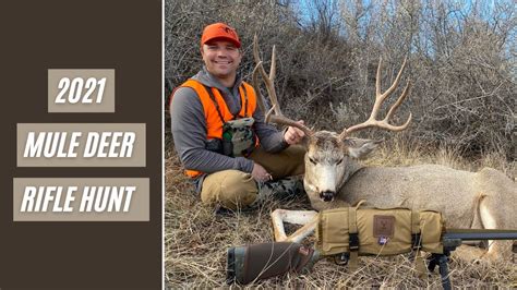 Mule Deer Rifle Hunt Youtube