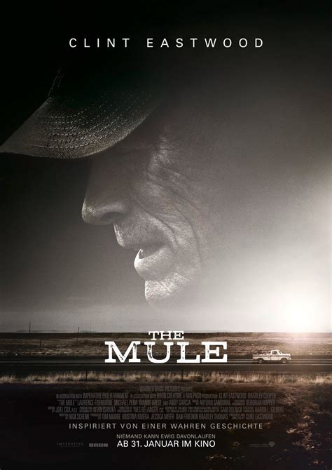 mule movie streaming
