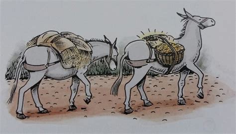 Look Muli Duo Et Latrones More