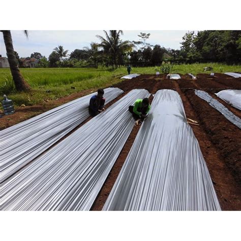 Jual Plastik Mulsa Hitam Perak Uk. 0.08Micron x 200Cm x 100Cm di Lapak