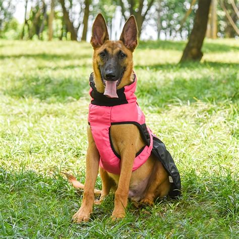 Multi Colored Dog Coat