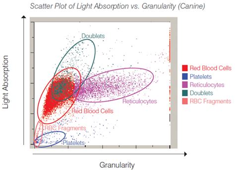 Multi Parameter Flow Cytometry