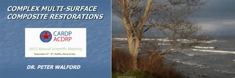 Multi Surface Restorations