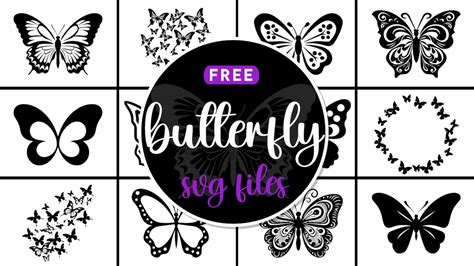 Download multi-layer-mandala-butterfly SVG