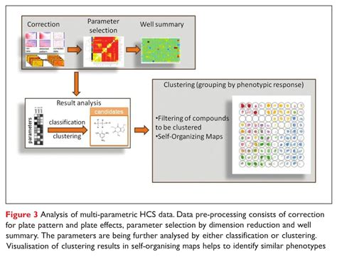 Multi-Parametric High Content Analysis