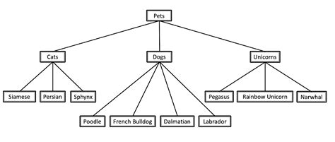 multiclass classification deep learning python