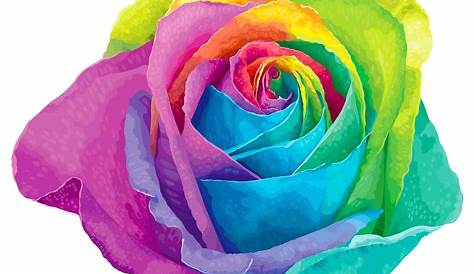Multicolor Rose Drawing Harmonious Linen By Lisa Audit Canvas Art Multi