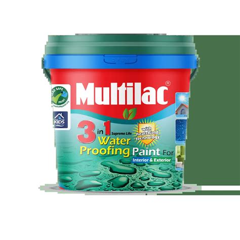 Multilac Surface Coating Ltd Share Price