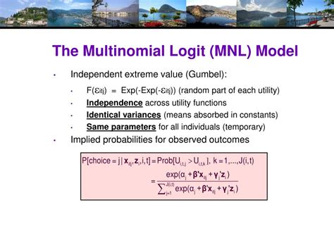 multinomial logit choice model