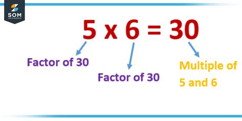 multiple meaning in mathematics