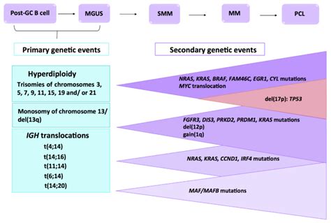 multiple myeloma hereditary factors