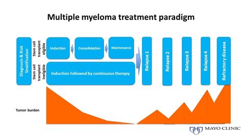 multiple myeloma treatment options mayo