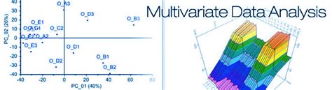 Multivariate Analysis Sas Example