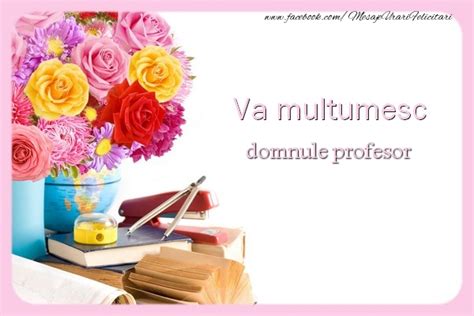 multumesc profesor