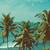 mumbai tropical tree wallpaper