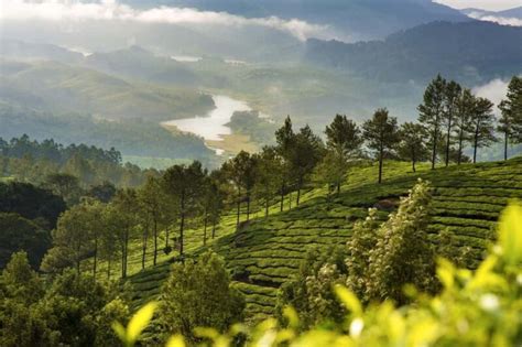 munnar overnight tour