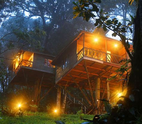 Munnar Treehouse