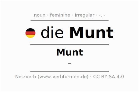 munt meaning