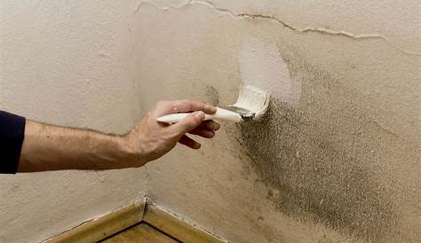 Mur Humide Peinture Anti Humidité Quand Et Comment L'utiliser