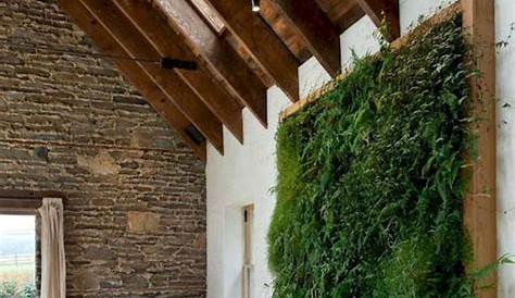 1001 + idées déco originales pour un mur végétal intérieur