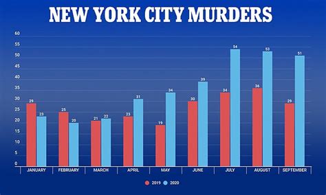 murders in new york this year