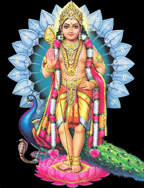 Discover Secrets of Muruga Lord