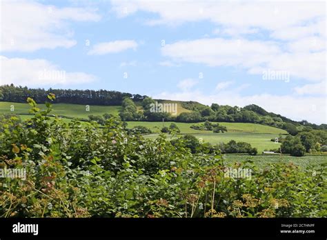 Musbury Devon England