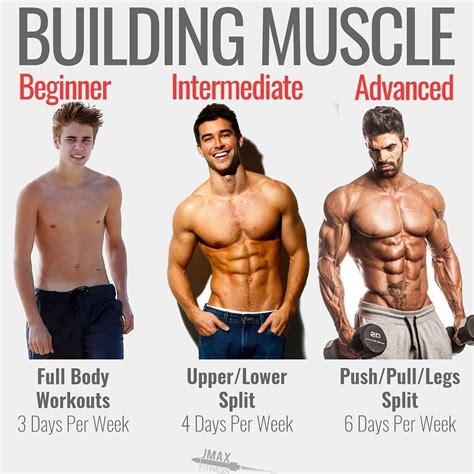Muscle Building Up