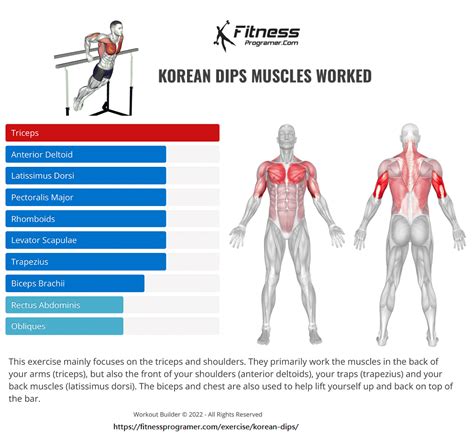 Muscles Worked With Dips