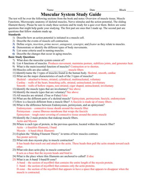 muscular system study guide