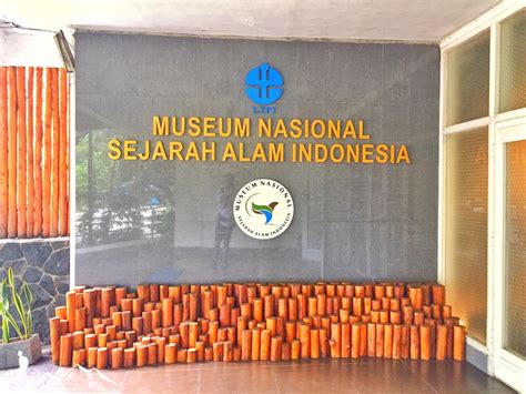 Belajar Alam Seru Di Museum Nasional Sejarah Alam Nasional Bogor