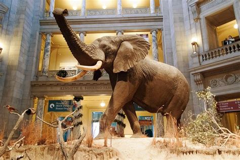 museum of natural history dc tickets
