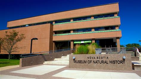 museum of natural history halifax ns