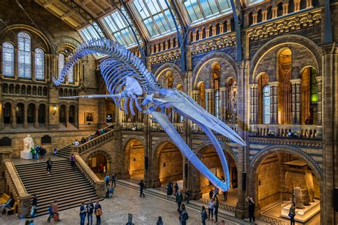 museum of natural history london tickets
