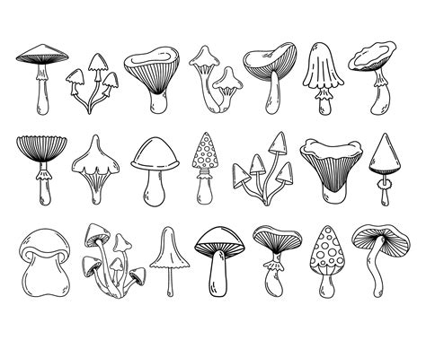 Mushroom Drawing Tiny