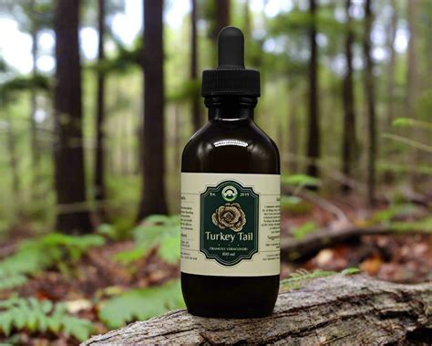 Mushroom Extract Tinctures