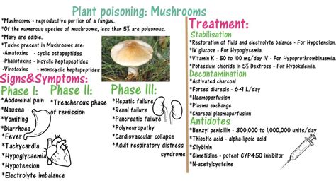 mushroom food poisoning treatment