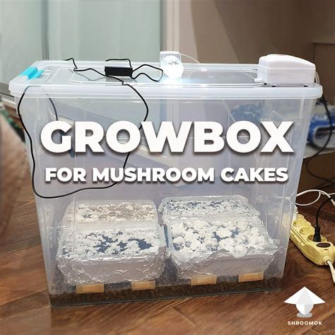 mushroom grow bin