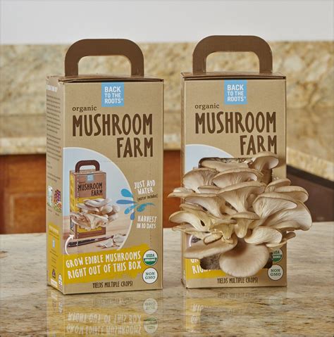 mushroom growing supplies for sale