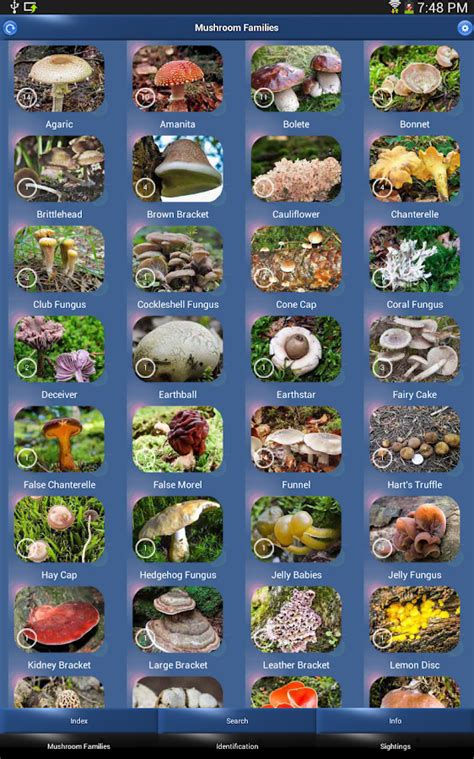 Mushroom Identification App