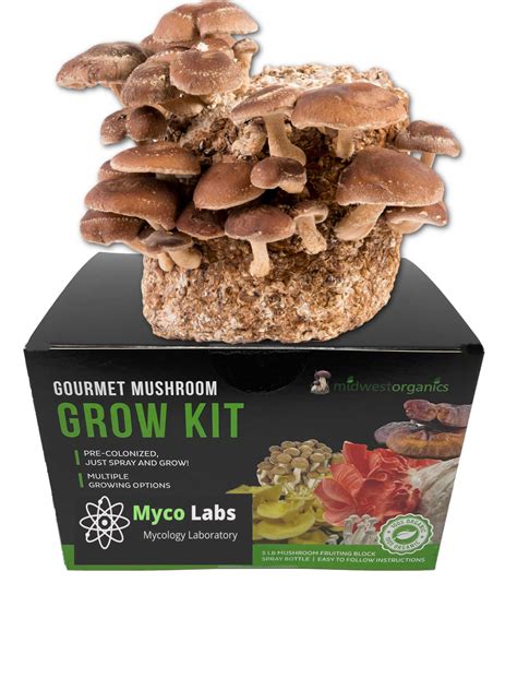 mushroom kits to grow at home uk