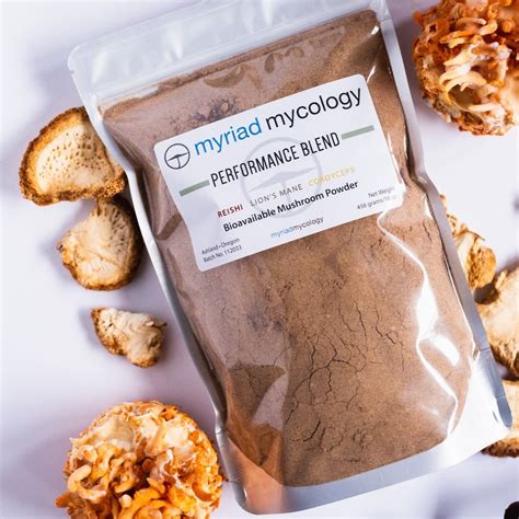 mushroom powder where to buy