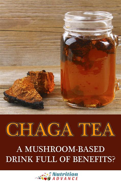 mushroom tea chaga