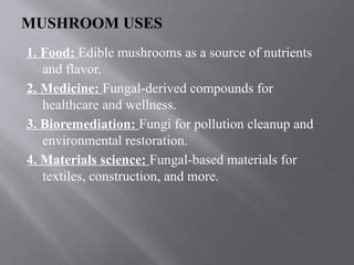 Mushroom Technical Definition