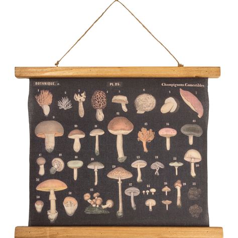 Mushroom Wall Scroll